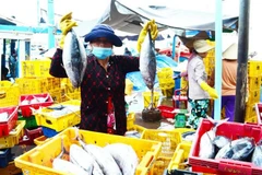Tuna exporters aiming for smaller markets