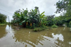 PM orders proactive responses to flood risks in central region