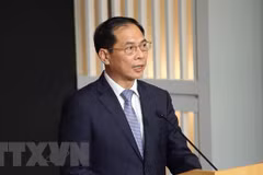 Vietnamese FM attends preparatory meeting for 2024 future summit, holds bilateral meetings