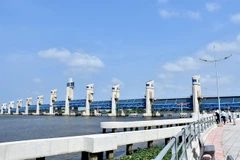 Saltwater intrusion worsens in Mekong Delta