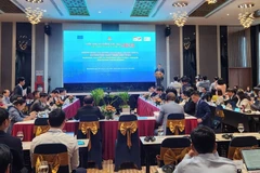 Initiatives proposed to develop sustainable financial policies