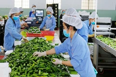 Green transformation considered key to sustainable exports: Experts 