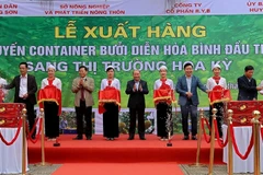 Hoa Binh exports first batch of “Dien” pomelos to US