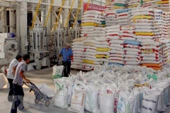 Ministry building long-term strategy on rice exports, market stabilisation: official