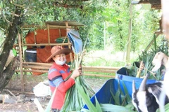 Binh Phuoc province helps more and more ethnic people escape poverty