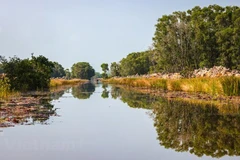 Campaign launched to encourage conservation, sustainable use of wetlands