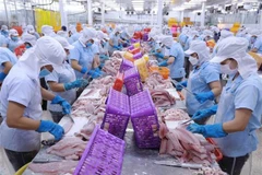 EVFTA positively affecting Vietnam's trade with EU, Germany: Expert