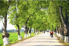Ministry proposed to upgrade national highways connecting with Laos, China