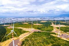 Binh Dinh partners with eight localities in tourism development