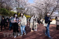 Vietnamese top international tourists in card spending in RoK