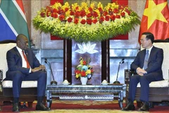 Vietnam treasures partnership with South Africa: President