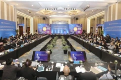 Vietnamese IT firms get support to go global