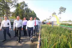 1.3km-long rice-themed road set up at Hau Giang exhibition