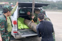 Wartime bomb safely removed from seabed in Quang Binh