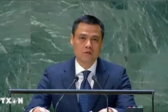 Ambassador Dang Hoang Giang, Vietnam's Permanent Representative to the UN. (Photo: VNA)