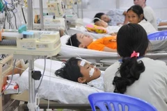 Dengue fever patients (Photo: VNA)