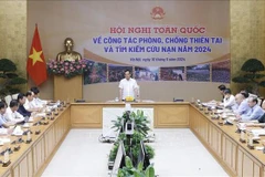 Deputy Prime Minister Tran Luu Quang addresses the conference (Photo: VNA)