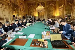 An overview of the session (Photo: VNA)