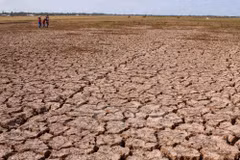 Binh Thuan province dries up in severe drought