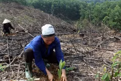 8 million ethnics to benefit from improved land management project