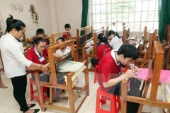 Norway supports disabled people in Can Tho, Ca Mau 
