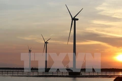 Workshop discusses national biomass development 