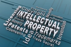 IP rights must be ensured: official 