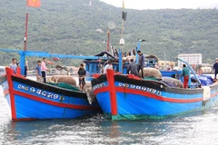Vietnam Fisheries Society protests China’s ramming local fishing boat 