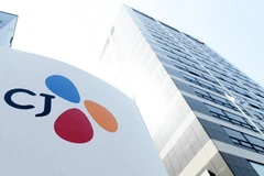 CJ Group seeks investment in Binh Dinh 