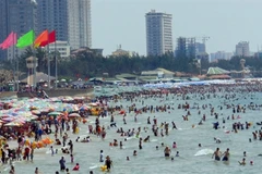 Vung Tau announces hotline to receive public feedback
