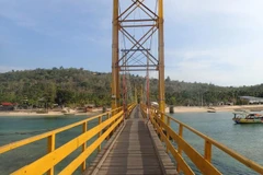 Indonesia: Bridge collapse in Bali kills at least nine 