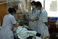 HCM City to open course on stroke treatment 