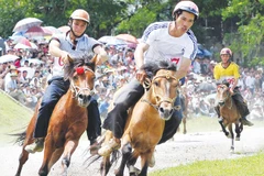 Vietnam fine-tunes rules on horse racing, int’l football betting 