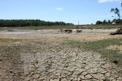 Kon Tum declares drought emergency level 1