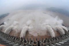 Laos helps Vietnam deal with drought, salt intrusion 