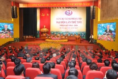 Top 10 domestic events: VNA selection 