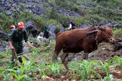 Central Highlands strives for sustainable poverty reduction 
