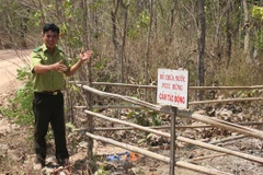 Drought heightens risk of forest fires