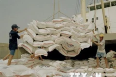 Thailand plans to cut rice output in 2016-2017 crop 