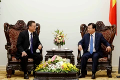 Vietnam keen to learn from Japanese agricultural cooperative model 