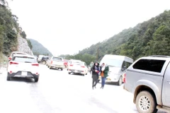 Freezing weather causes damage to northern localities 