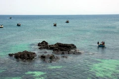 Discovery of small island in Ly Son district 