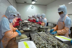 Ca Mau: Aquatic export records promising start in 2016