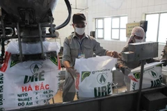 National chemical group vows to speed up equitisation, divestment