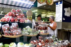 Vietnamese fruits introduced in Czech Republic