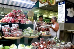 Vietnamese fruits introduced in Czech Republic