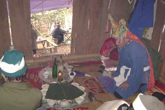 Mo Muong values saved in Hoa Binh 