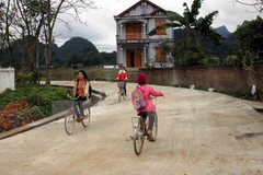 Provinces target more new-style rural communes 