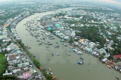 Number of tourists to Can Tho soars in Q1
