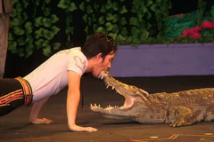 International circus to open in HCM City